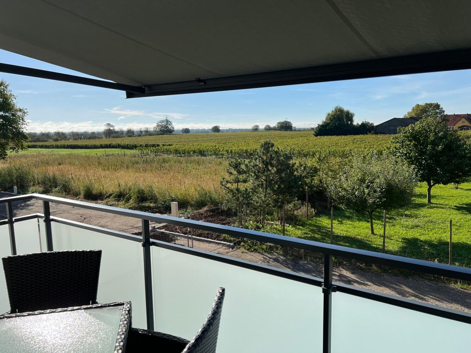 Oasis Tout Confort A Bergheim, Alsace Luaran gambar